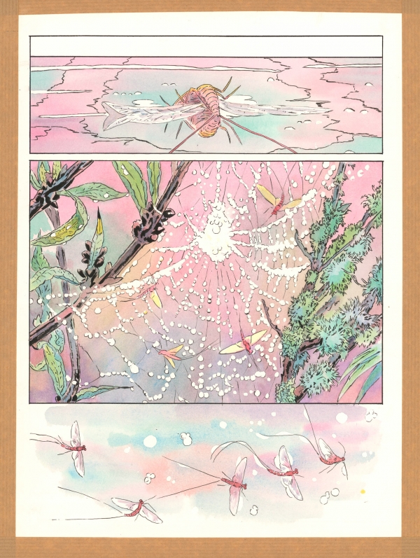 Grégoire Carle 2024 Le lierre et l'araignée Planch Grégoire Carle 2024 Le lierre et l'araignée Planche 43 Encre de Chine et aquarelle sur papier 35,3 x 25,5 cm Éditeur Dupuis Non signé
