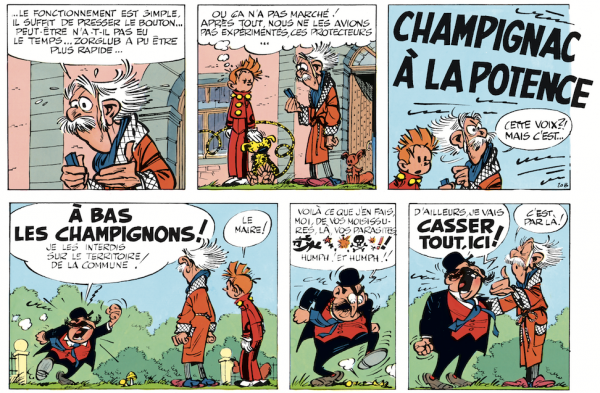 Un arrêté municipal rassembleur (?) dans Z comme Zorglub