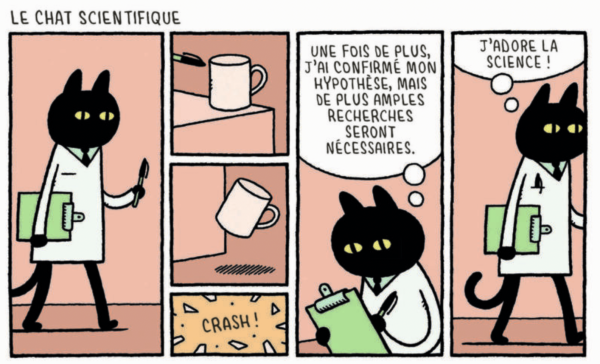 La physique pour les chats