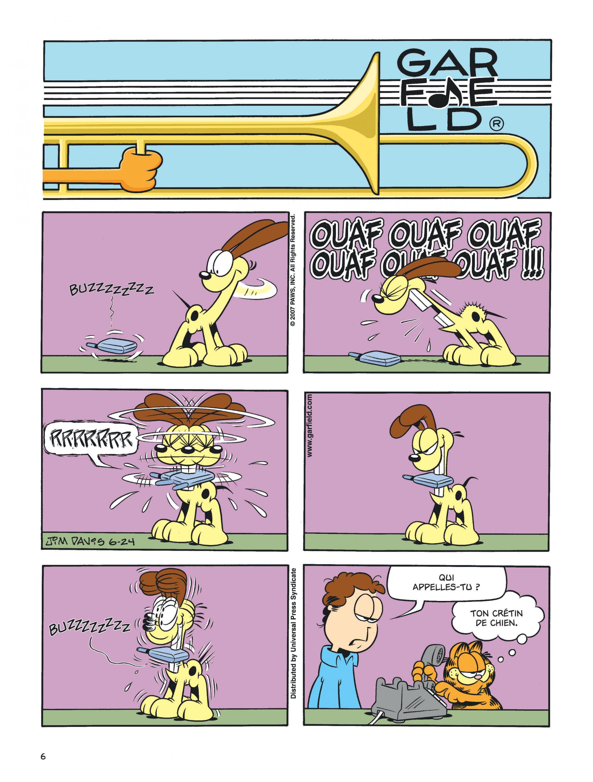 Chat déchire