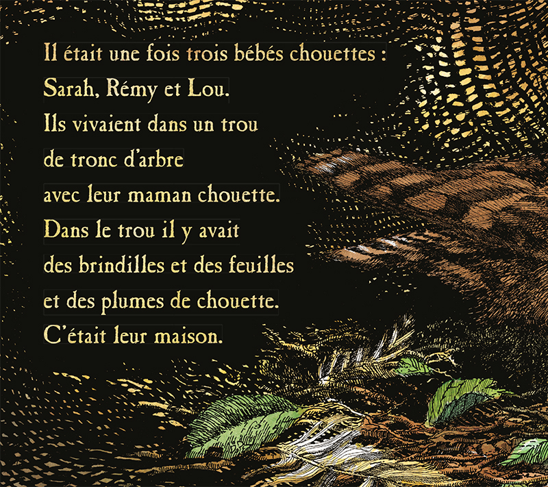 Bebes Chouettes Et Tomes Sur Zoo