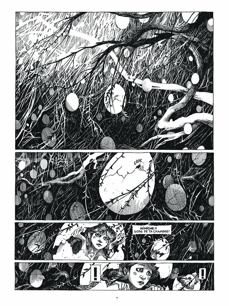Extrait n°3 de la bd Ornithomaniacs par Daria Schmitt