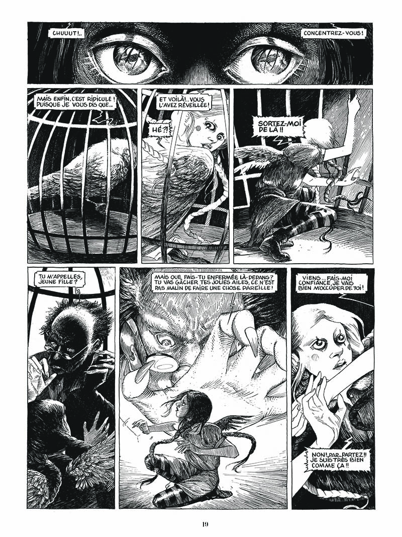 Extrait n°15 de la bd Ornithomaniacs par Daria Schmitt