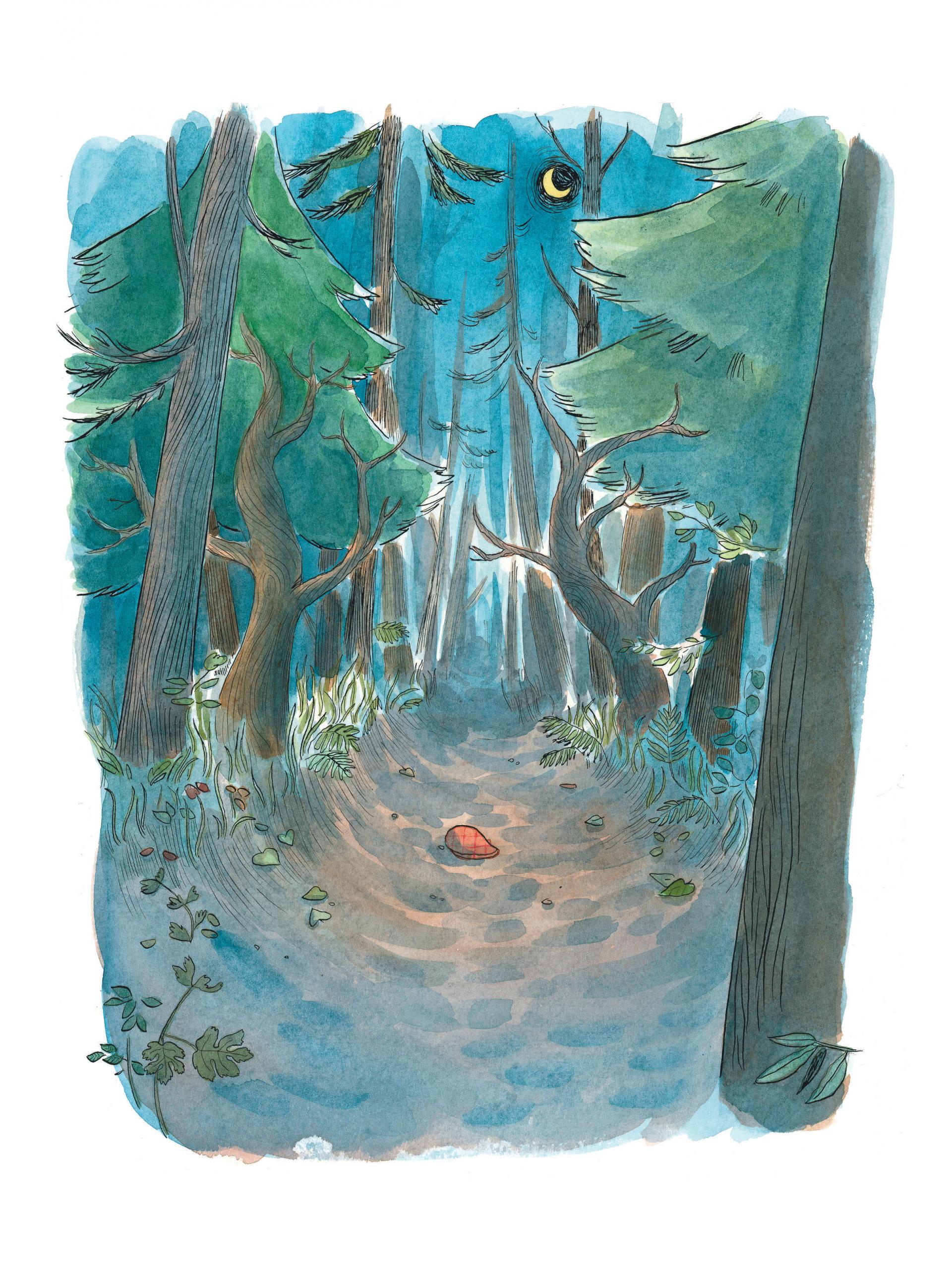 La peau de l'ours