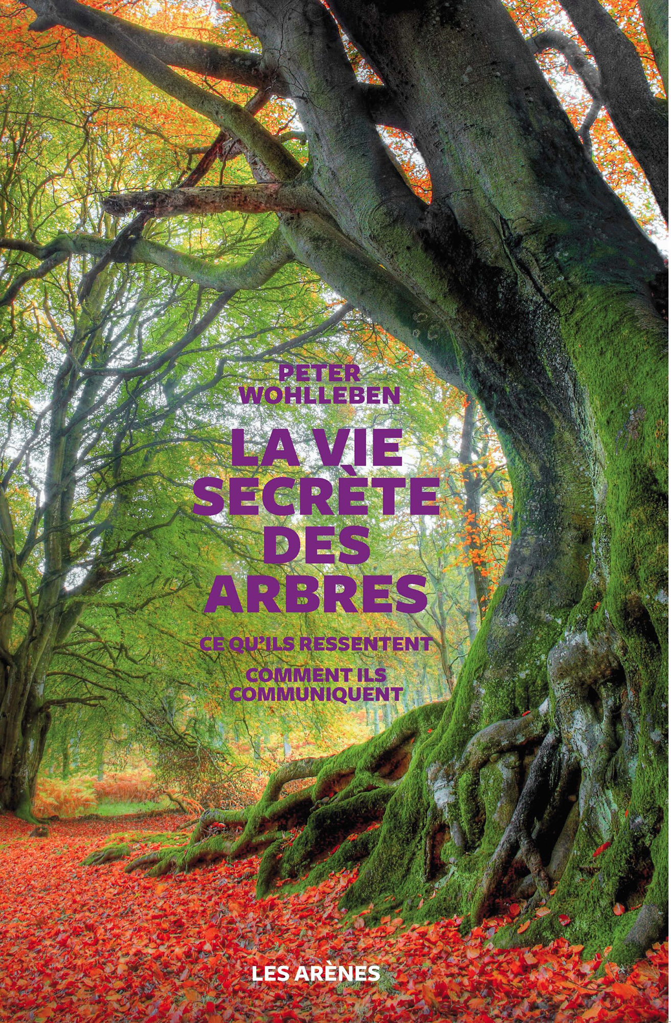 La vie secrète des arbres