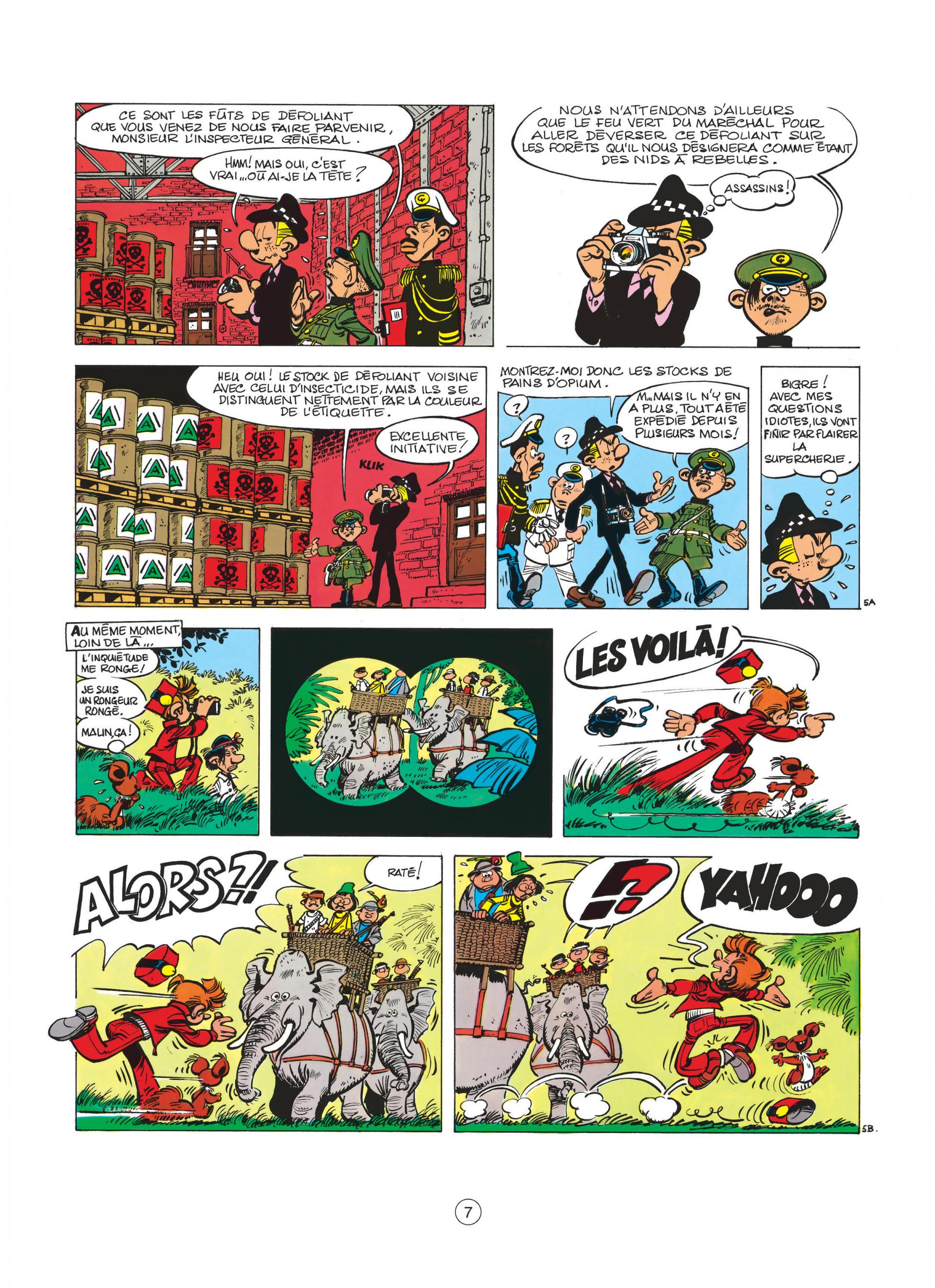 Des haricots partout
