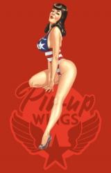 Pin-Up Wings Coffret 4 Vol + Plaque