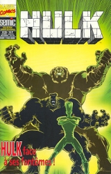 couverture de l'album Hulk face à ses fantômes