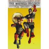 couverture de l'album The Marvels Project: Birth Of The Super Heroes