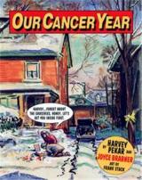 page album Our cancer year