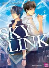 couverture de l'album Sky Link