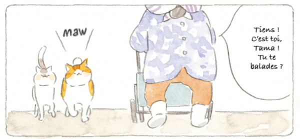 Le vieil homme et son chat tome 6 - Marchent à pas de velours