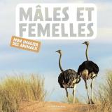 couverture de l'album Mâles et femelles