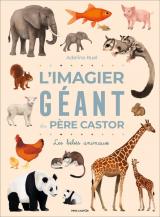 page album L'Imagier géant du Père Castor  - Les bébés animaux