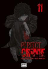 Perfect crime T.11