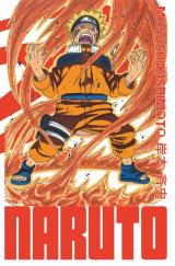 couverture de l'album Naruto Edition Hokage T.13