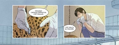 Sauvages Sauvage(s)