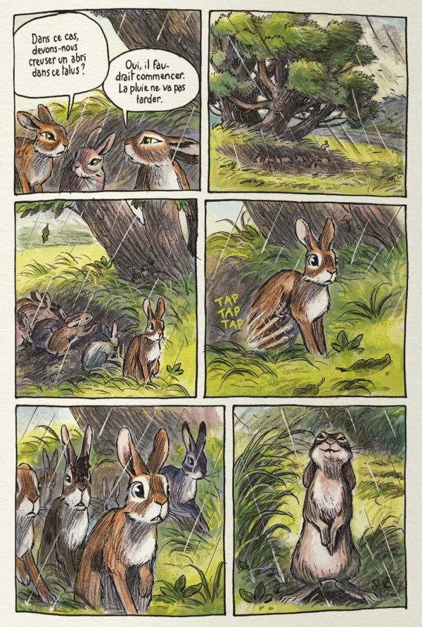Watership Down Watership Down