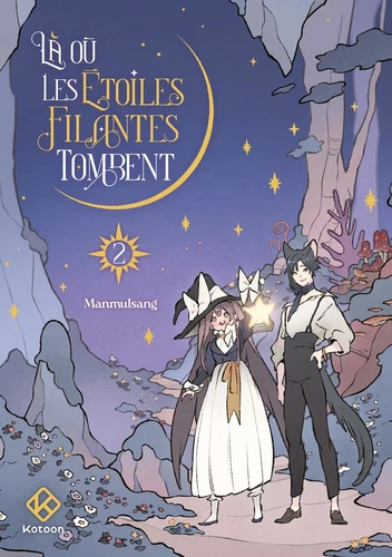 Là où les étoiles filantes tombent Tome 2