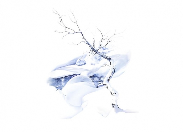 Lavis des Alpes Extrait de l'album