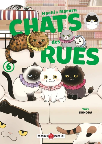 page album Hachi & Maruru, chats des rues Tome 6