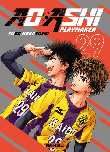 page album Ao Ashi Playmaker Tome 29