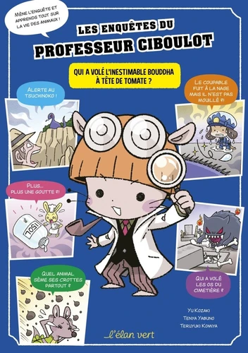 page album Qui a volé l'inestimable bouddha à tête de tomate ?