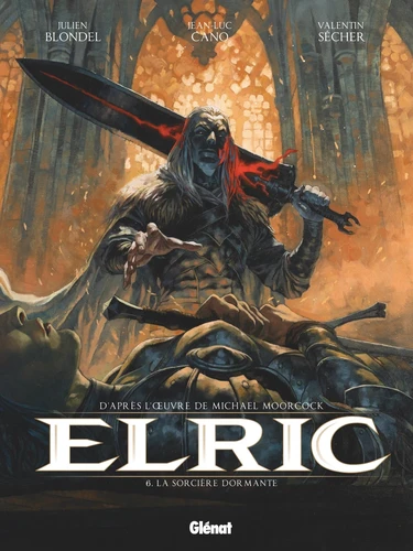Elric - T.6 La Sorcière dormante