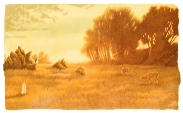 Pigé Nuit Blanche Le dessin de Florian Pigé nous entraîne dans la psyché de l'enfant, calqué sur la métamorphose de son environnement.