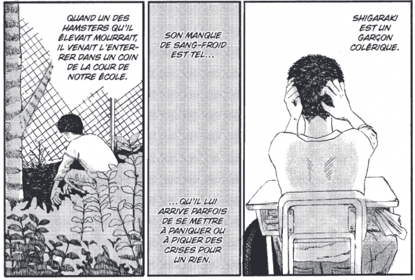 Quand vient la saison des Dokudami doku