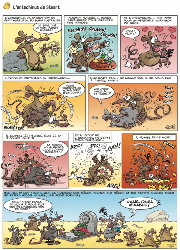 La Véritable sexualité débridée des animaux