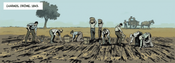 Extrait de Les 1001 pierres du Facteur Cheval, par Loic Fontimpe © Petit à petit, 2026