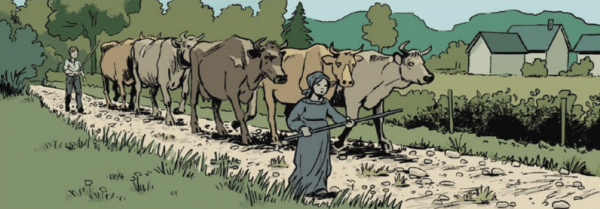 Extrait de Les 1001 pierres du Facteur Cheval, par Loic Fontimpe © Petit à petit, 2026