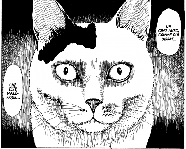 Le Journal des chats - Édition prestige