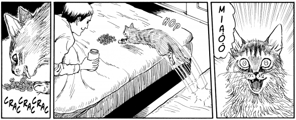 Le Journal des chats - Édition prestige