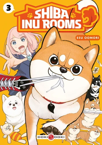 Shiba Inu Rooms - T.3