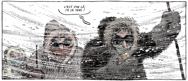 Pôle sud - La folle conquête