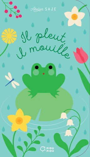 page album Il pleut, il mouille