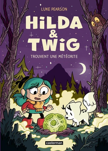 Hilda Twig - T.3 Hilda et Twig trouvent une météorite