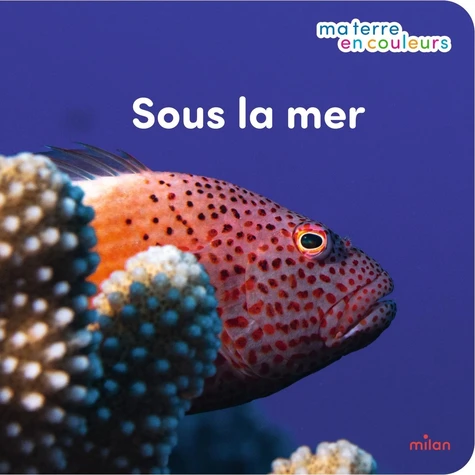page album Sous la mer