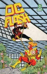 couverture de l'album DC Flash 13