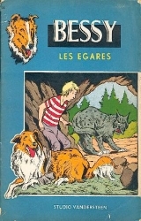 couverture de l'album Les égarés