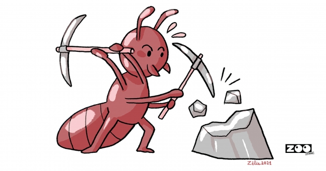 Les pérégrinations scientifiques de Zélie