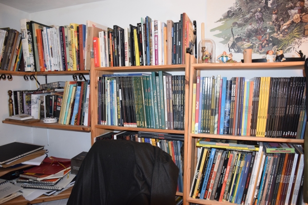 Vue d'ensemble de la bibliothèque de Gael Séjourné