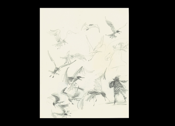 Planche extraite de l'exposition 