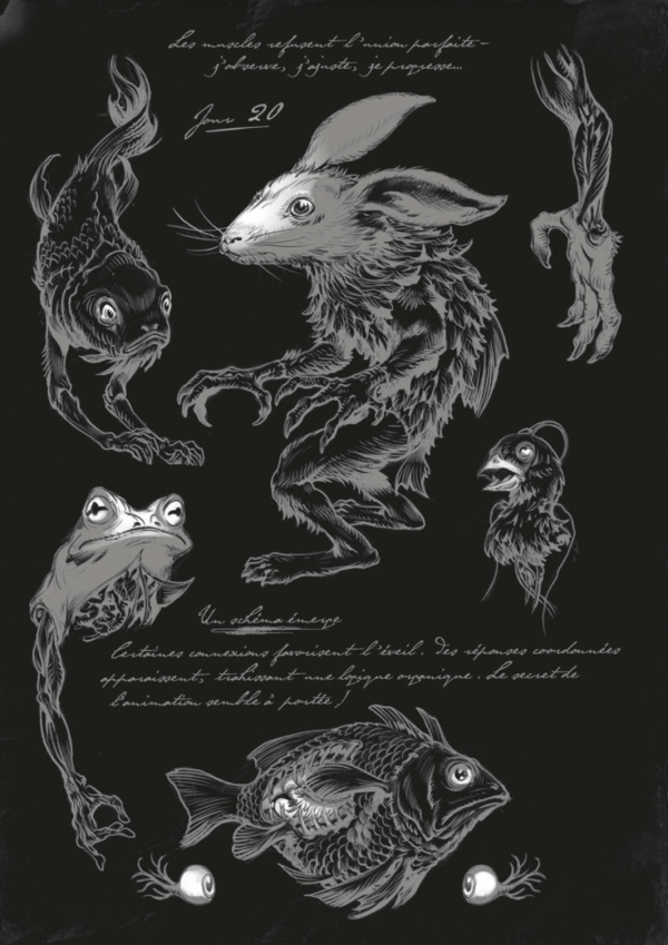 Extrait du carnet de Victor Frankenstein : croquis et dessins de créatures