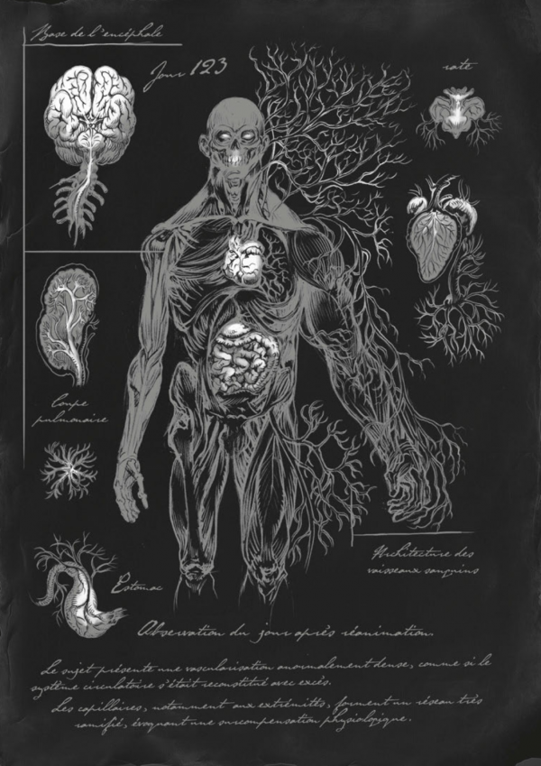 Extrait du carnet de Victor Frankenstein : croquis et dessins