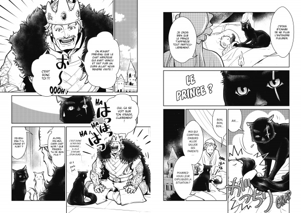 Extrait de Cats and Dragon, T.1